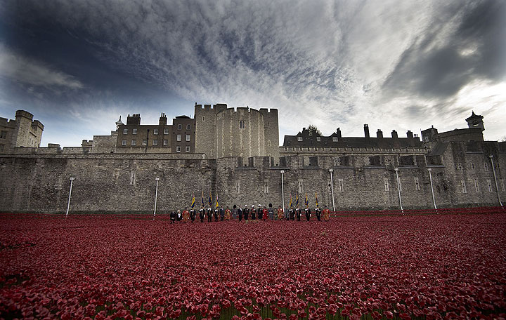 'Blood Swept Lands and Seas of Red' poppy installation at The Tower of London