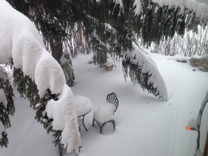 Nov. 30: This Your Saskatchewan photo was taken by Cheryl Hodge in Vonda.