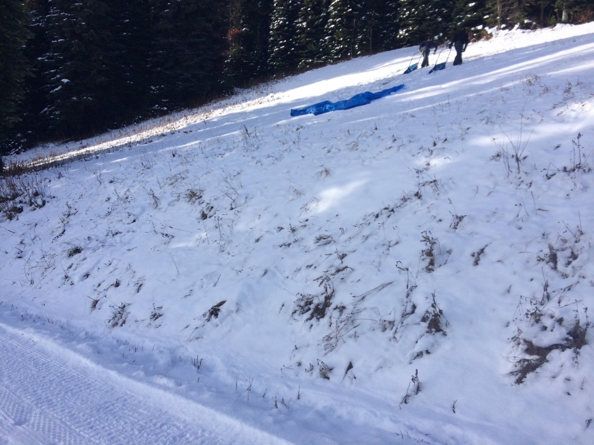 Snow shortage delays nordic skiing - image