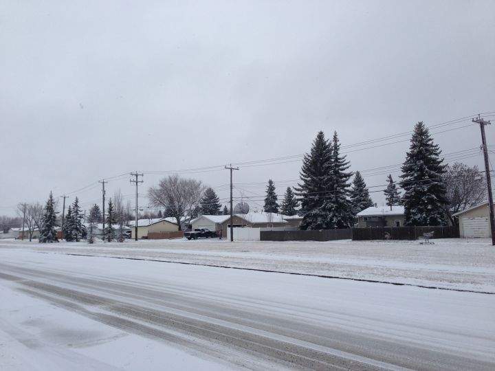 Snow in Edmonton Saturday, Nov. 22, 2014.