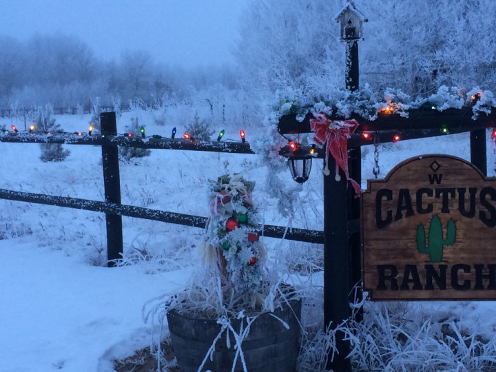 Dec. 24: This Your Saskatchewan photo was taken by Wendy Trask in the R.M. of Corman Park.