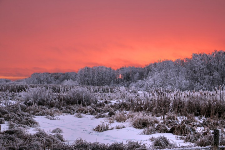 Dec. 29: Craig Boehm snapped this Your Saskatchewan photo near Regina.