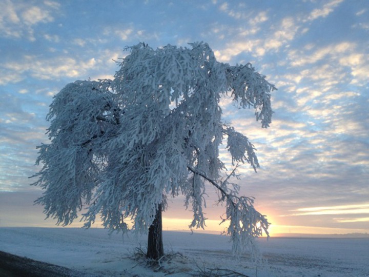 Dec. 31: Lynn Dutton snapped this Your Saskatchewan photo near Gull Lake.