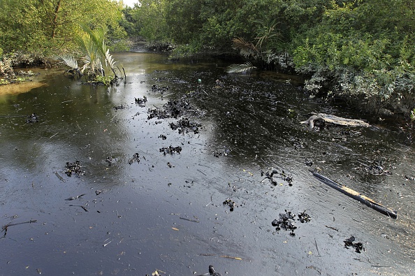 In this photograph taken on December 9, 2014, oil from a Bangladeshi oil-tanker is seen on the Shela River in the Sundarbans in Mongla. Bangladesh officials warned December 11 that an oil spill from a crashed tanker is threatening endangered dolphins and other wildlife in the massive Sundarbans mangrove region, branding the leak an ecological "catastrophe". The tanker carrying an estimated 357,000 litres (77,000 gallons) of oil collided on December 9 with another vessel and partly sank in the Sundarbans' Shela river, home to rare Irrawaddy and Ganges dolphins. 