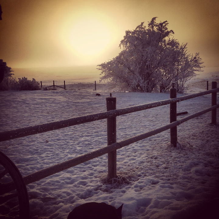 This photo of hoar frost was sent in by Ashley Roy.