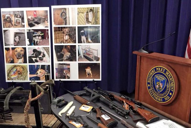 Baltimore police say they recovered 225 dogs, including 50 puppies, and at least 20 weapons.