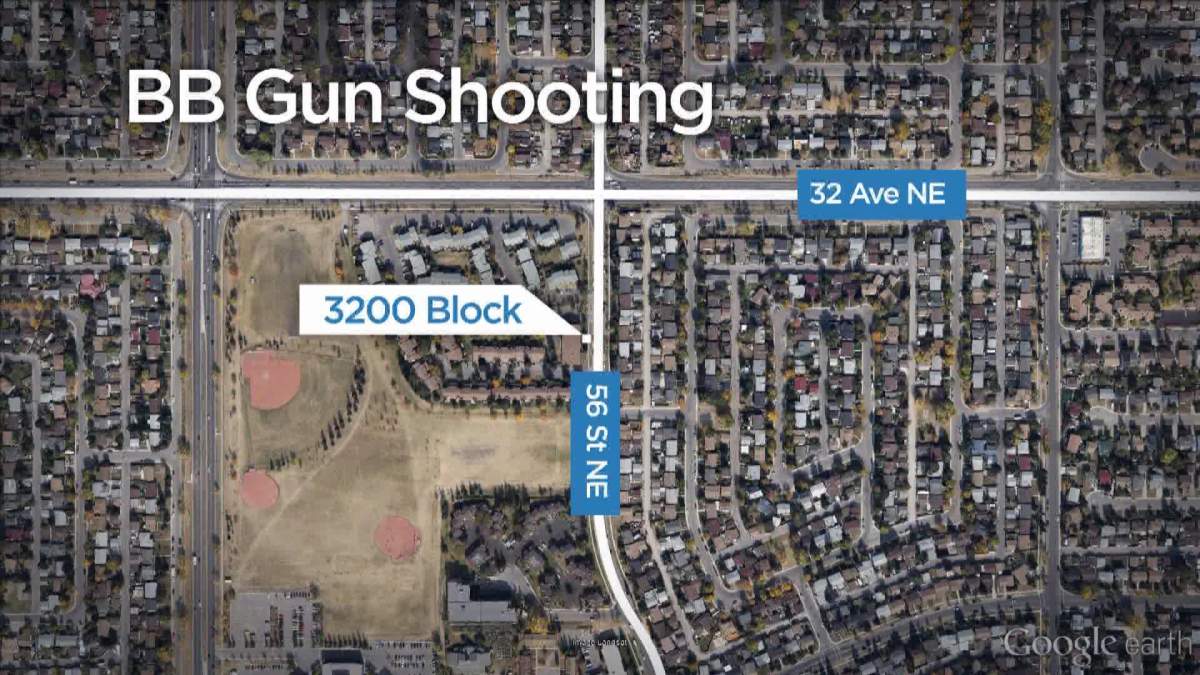 BB gun fired at Pineridge home - image