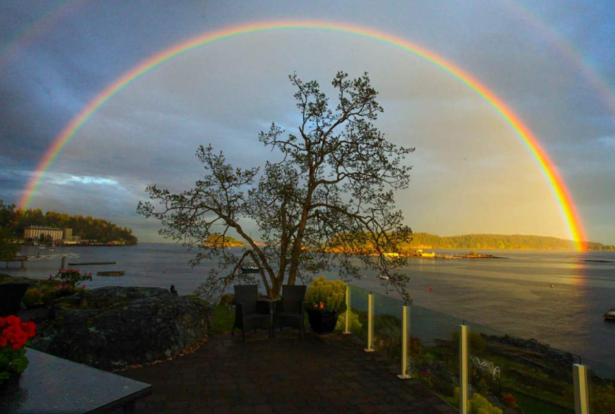 Best B.C. Weather Window Photos of 2014 - image