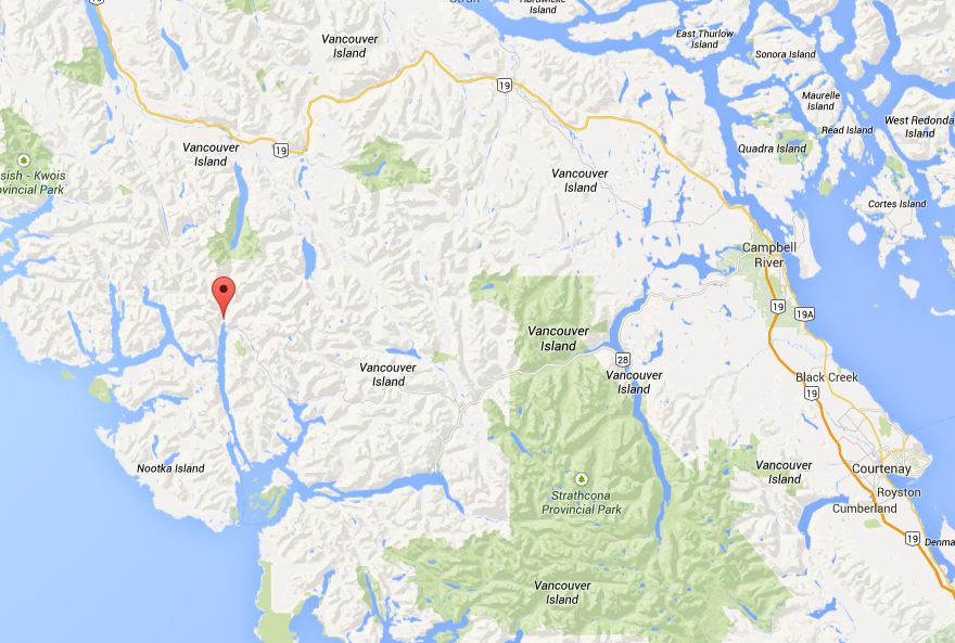Coldstream man killed in workplace accident - image