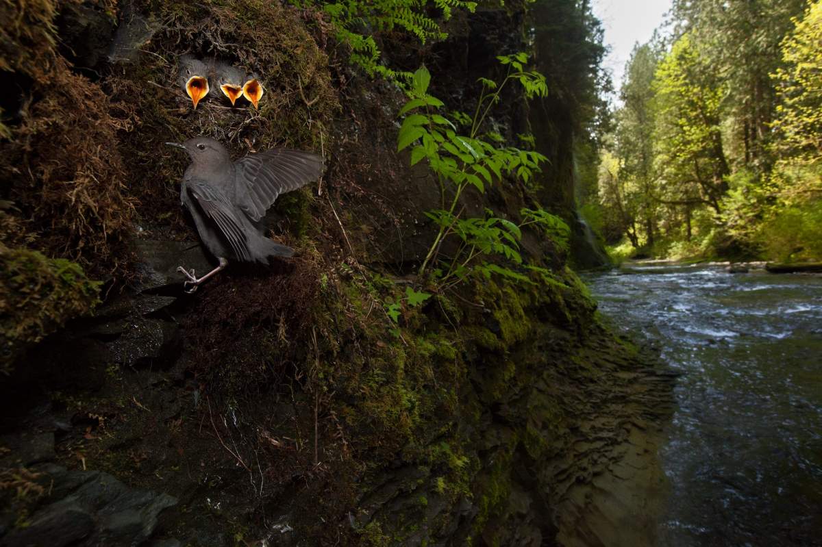 Best B.C. Weather Window Photos of 2014 - image