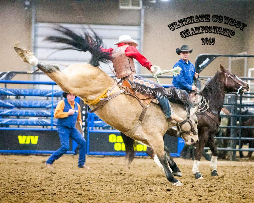 Ultimate Cowboy rodeo
