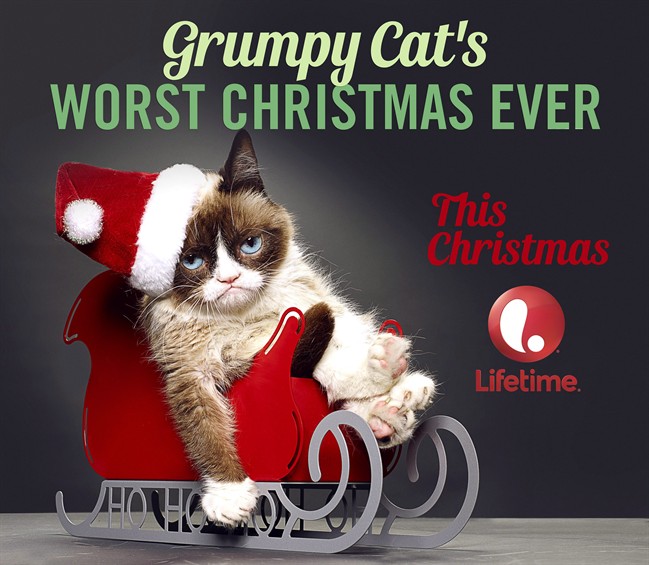 This undated image provided by Lifetime shows the Internet sensation, Grumpy Cat.