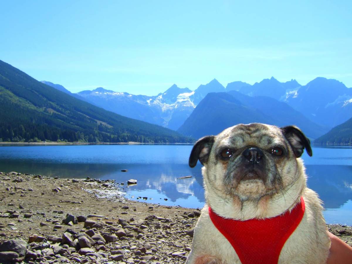 Best B.C. Weather Window Photos of 2014 - image