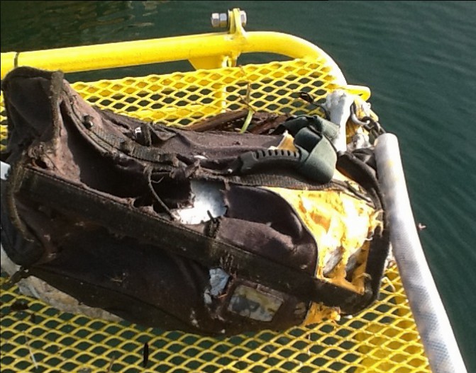 The duffel bag the deceased dog was found in the water near Victoria. [This photo has been edited to exclude graphic content].