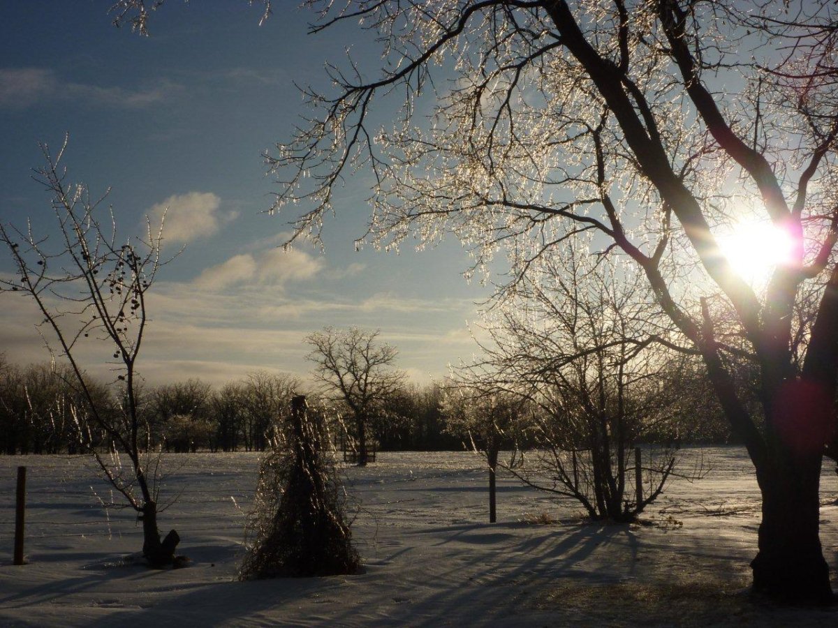 Your Manitoba: December - Winnipeg | Globalnews.ca