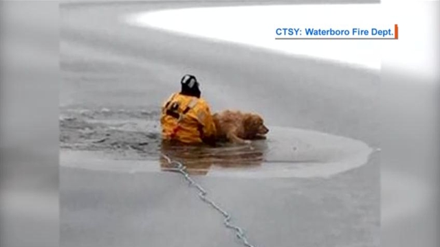 WATCH: Firefighters rescue dog trapped in frozen lake - National ...