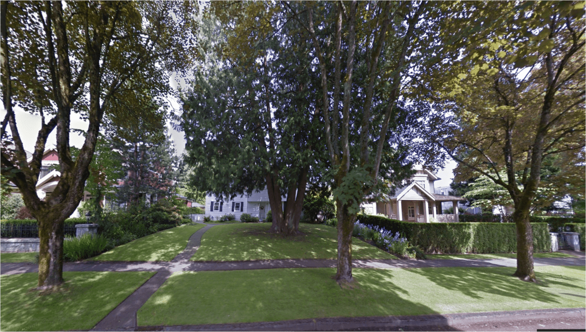 A picture of the front yard of a house on Adera Street prior to  a tree being chopped down.