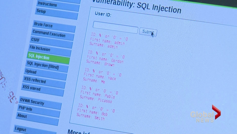 Hackers pry into websites using ‘portals of entry’ - Toronto ...
