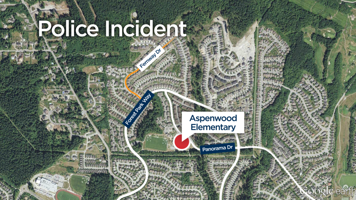 Suspect charged following assault in Port Moody, carjacking in Coquitlam - image
