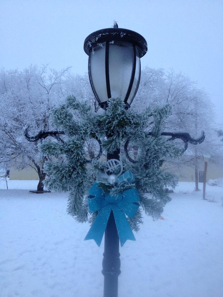 This photo of hoar frost was submitted by Karen Anderson.