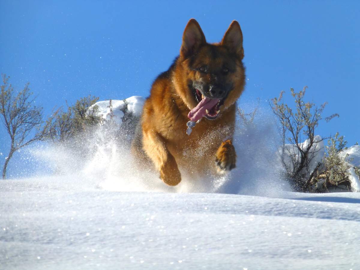 Best B.C. Weather Window Photos of 2014 - image