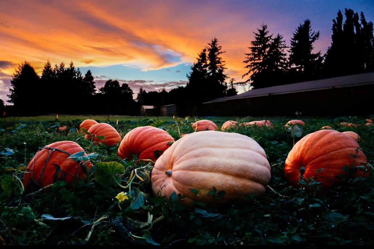 Best B.C. Weather Window Photos of 2014 - image