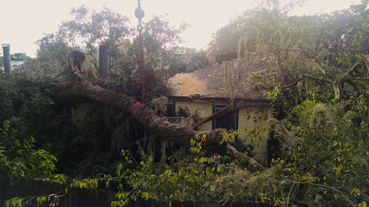 In this Nov. 11, 2014 photo, a crew clears debris from portions of a tree that collapsed across several properties in Tallahassee, Fla. Even healthy trees can fail because of their size and weight. The role of a landscape inspector is to locate trees with predisposing faults like disease and cracks that can be pruned or removed before causing any damage.