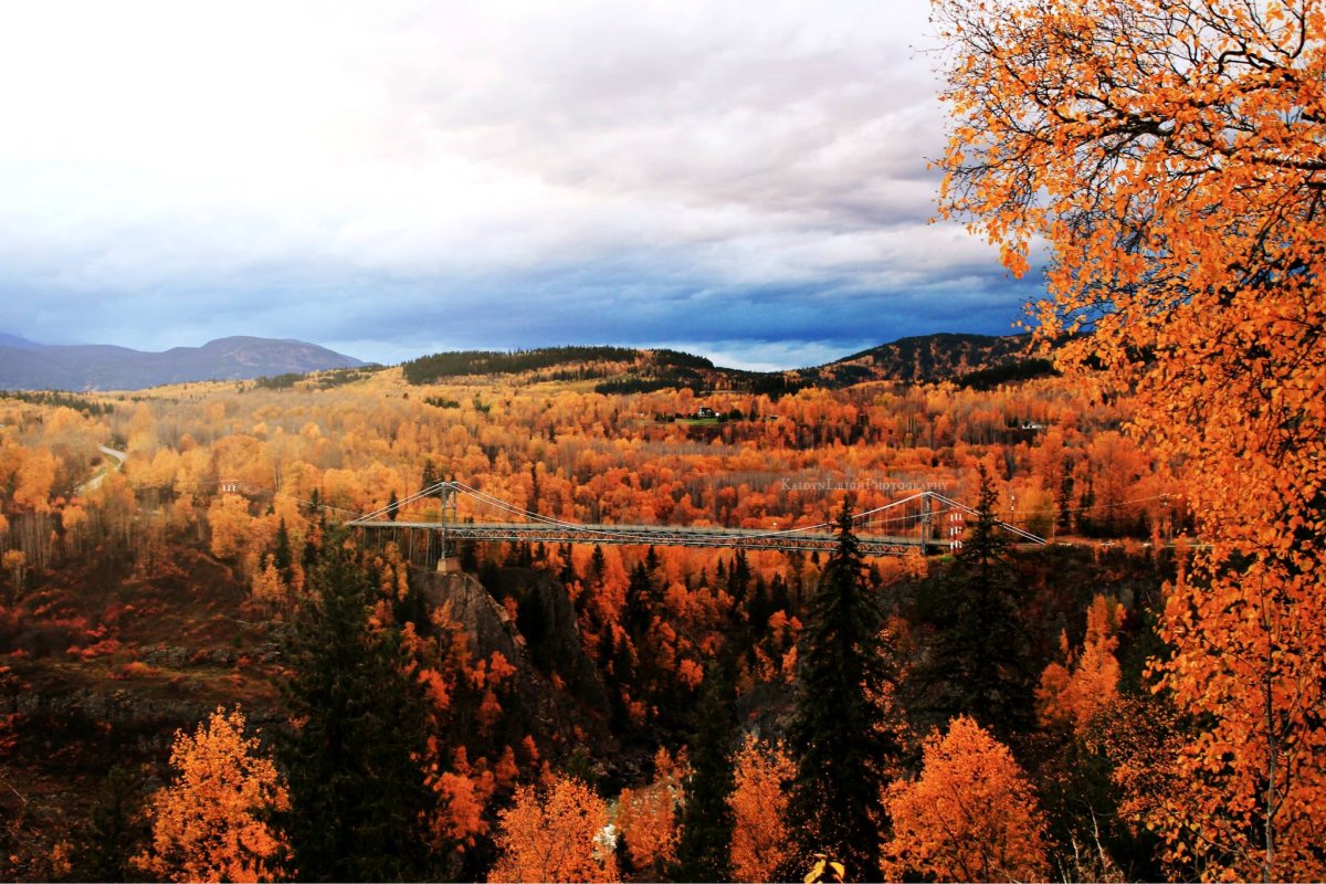 Best B.C. Weather Window Photos of 2014 | Globalnews.ca
