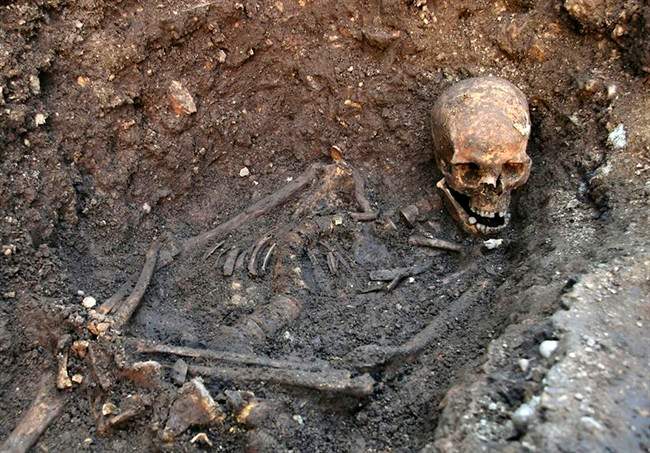This is an undated file photo released by the University of Leicester, England, showing the remains human skeleton found underneath a car park in Leicester, England, September 2012, .