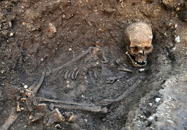 This is an undated file photo released by the University of Leicester, England, showing the remains human skeleton found underneath a car park in Leicester, England, September 2012, .