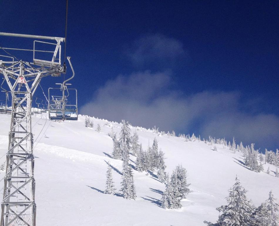 Mount Baldy will open in new year - image