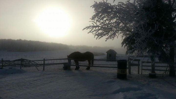 This photo was taken by Debbie Huff at a farm near Glaslyn, Sask.