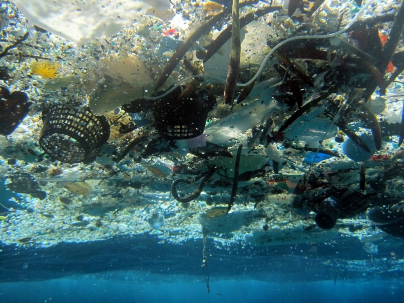 This file 2008 photo provided by NOAA Pacific Islands Fisheries Science Center shows debris in Hanauma Bay, Hawaii.