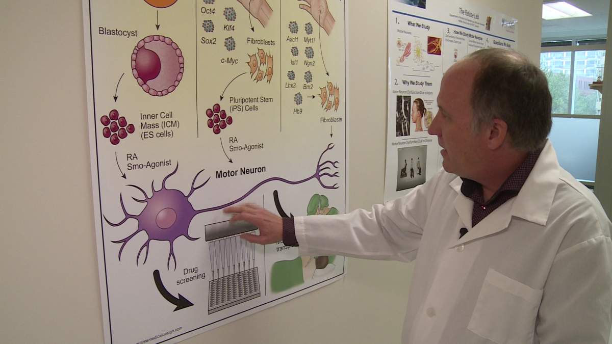 Rafuse focuses on ALS research.