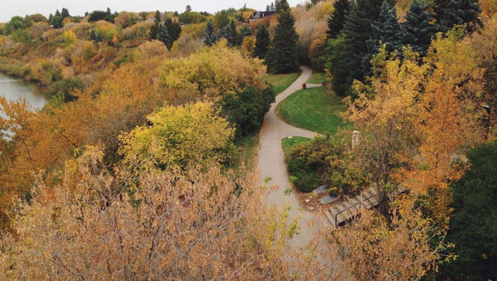 Sept 30: More fall colours, this one taken by Natalya Jaddock in Saskatoon.