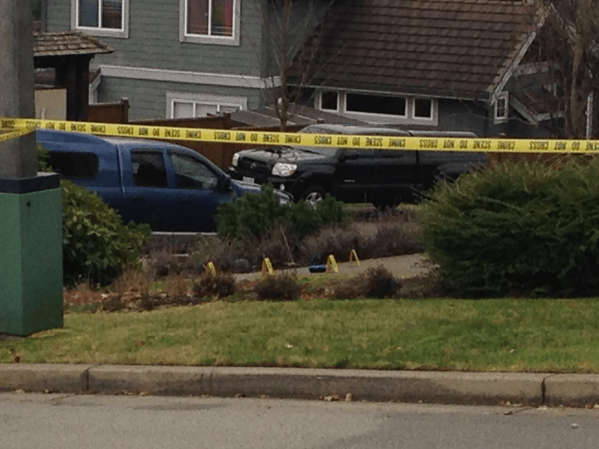 Suspect charged following assault in Port Moody, carjacking in ...