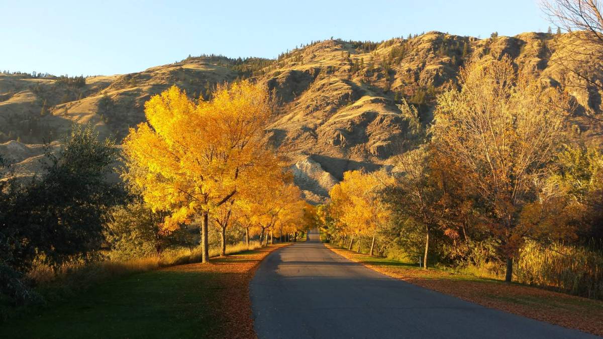 Best B.C. Weather Window Photos of 2014 - image
