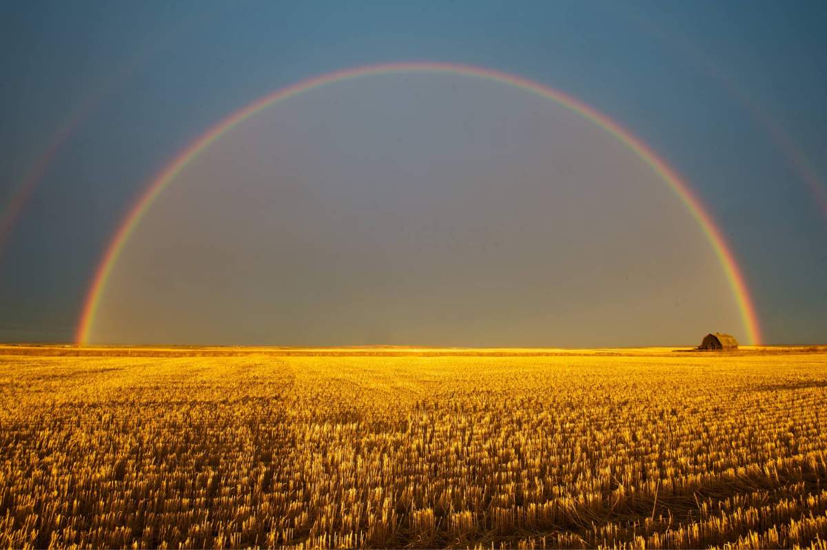 Best B.C. Weather Window Photos of 2014 - image