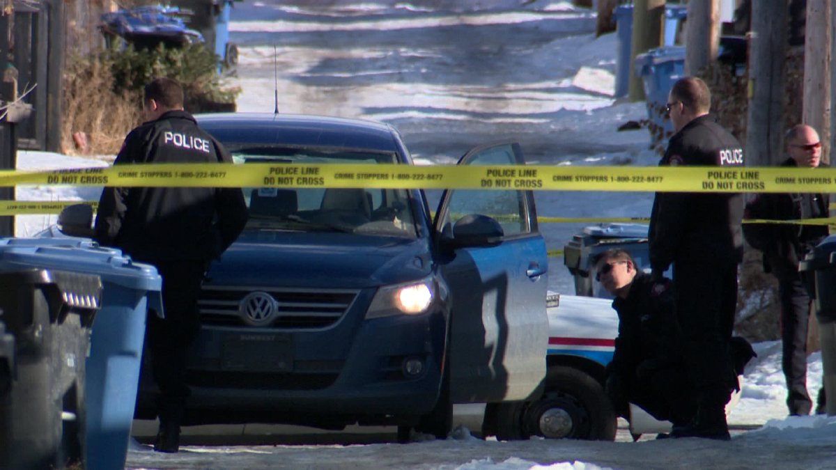 Police investigating the murder of Duane Laybourne in Tuxedo Park in February 2013.