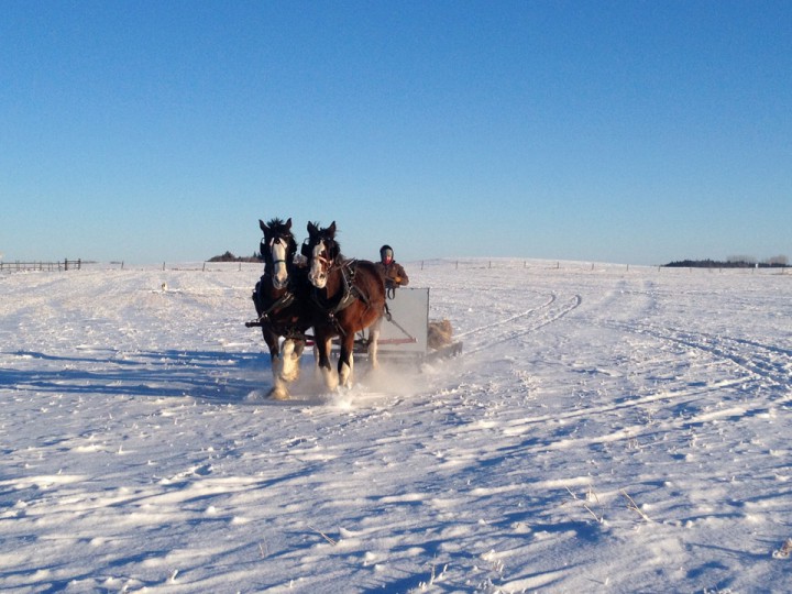 Jan. 9: Kimberly Fargo snapped this Your Saskatchewan photo at Langenburg.