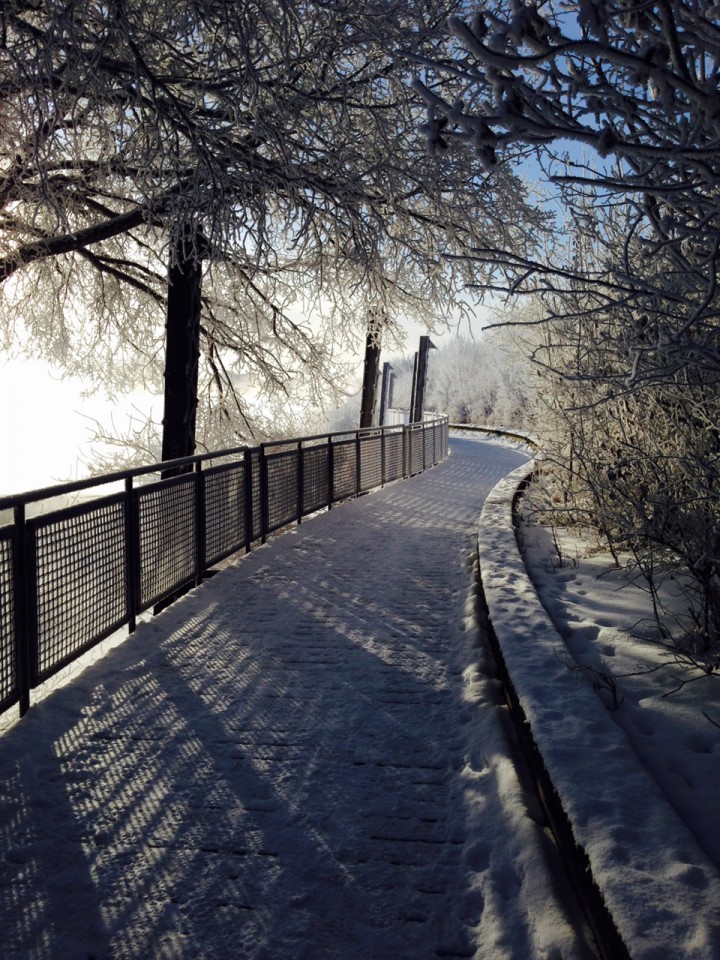 Jan. 15: Shauna Sawchuk took this Your Saskatchewan photo in Saskatoon.