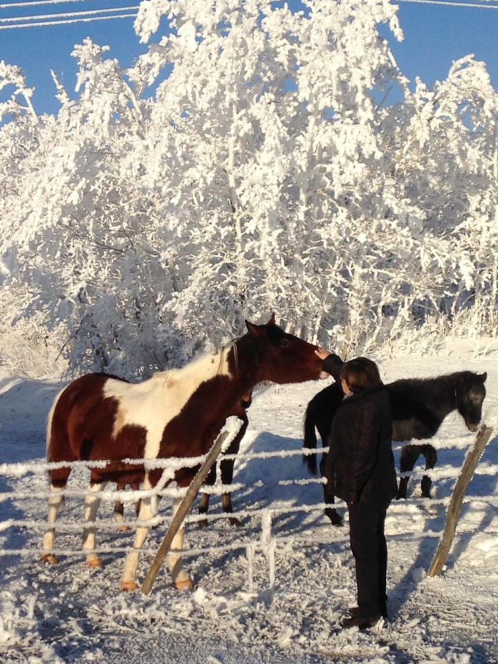 Jan. 26: This Your Saskatchewan photo was taken by Sarah Scott in the Spiritwood area.