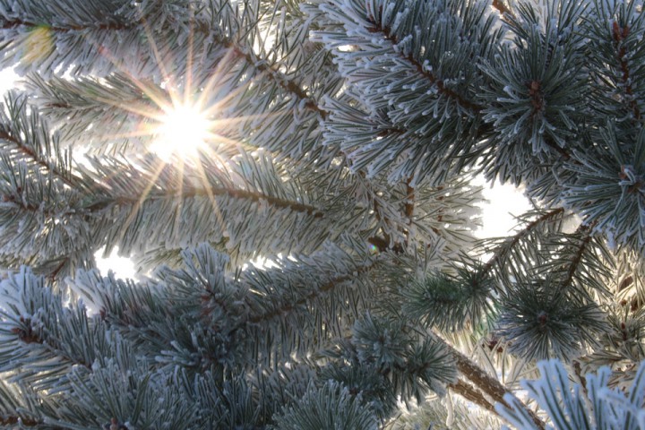 Jan. 28: Teresa Taylor snapped this Your Saskatchewan photo in Saskatoon.