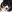 Bernese mountain dog Levon missing WestJet