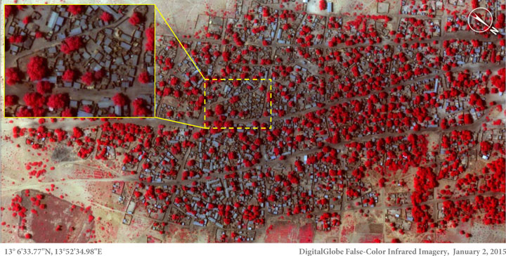 This Satellite image taken on Friday, Jan. 2, 2015 and released by Amnesty International of the village of Doron Baga in north-eastern Nigeria, shows before it was allegedly attacked by members of the Islamic extremist group Boko Haram.