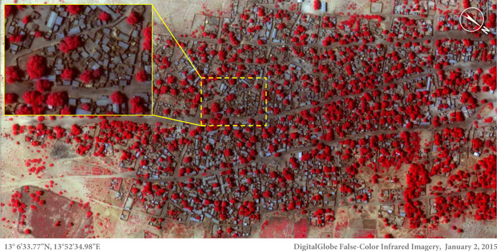 This Satellite image taken on Friday, Jan. 2, 2015 and released by Amnesty International of the village of Doron Baga in north-eastern Nigeria, shows before it was allegedly attacked by members of the Islamic extremist group Boko Haram. 