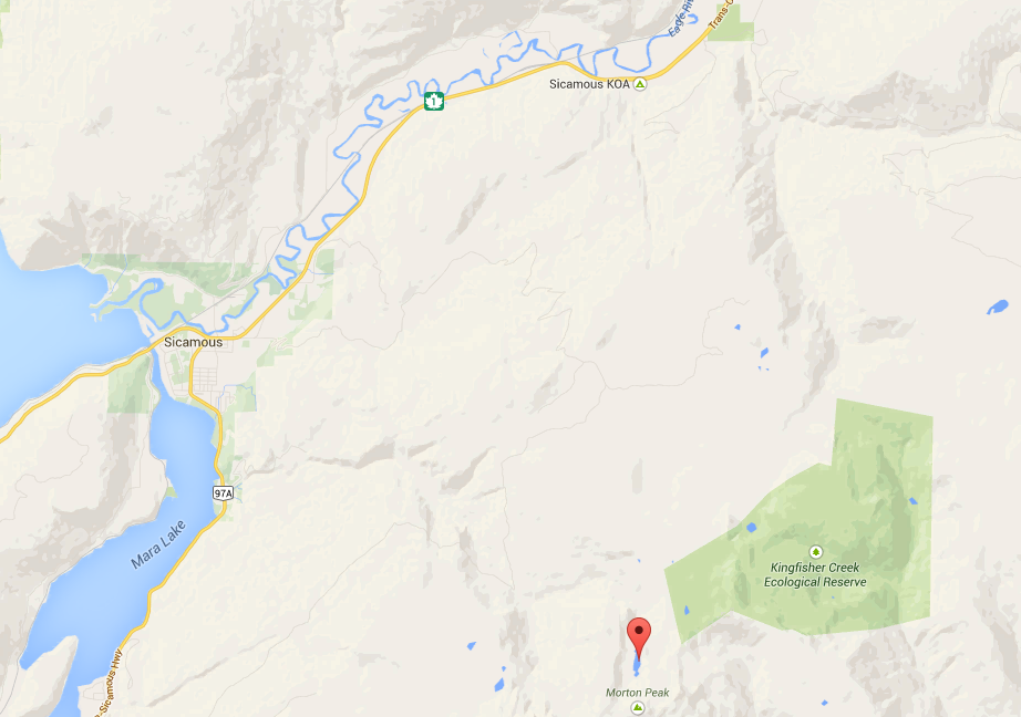Deadly snowmobile accident east of Sicamous - image