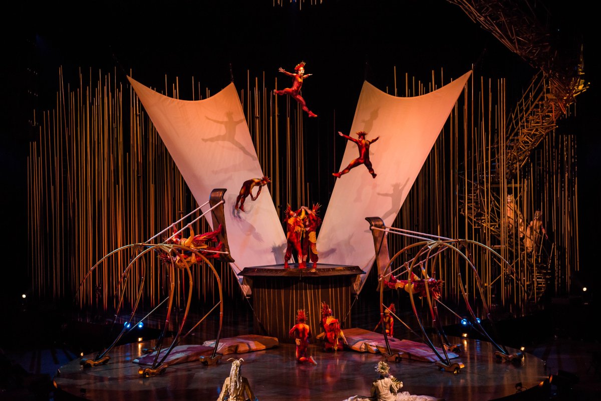 Photo from Varekai by Cirque du Soleil, which is coming to Edmonton in June 2015.