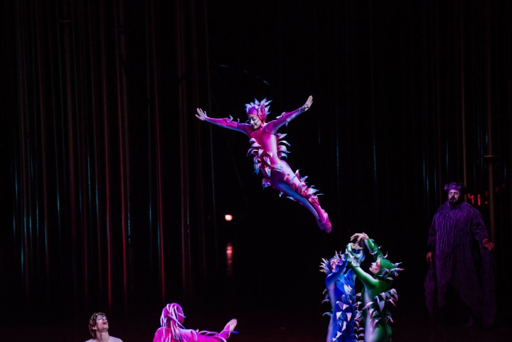 Photo from Varekai by Cirque du Soleil.