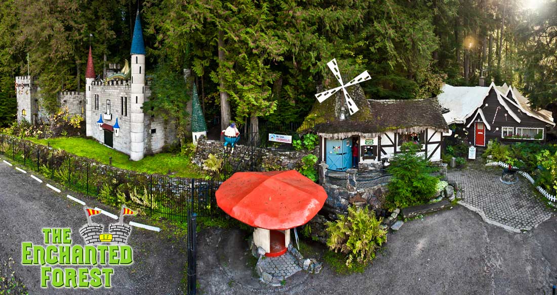 Own An Enchanted Forest In B.C. For $2.7 Million - BC | Globalnews.ca